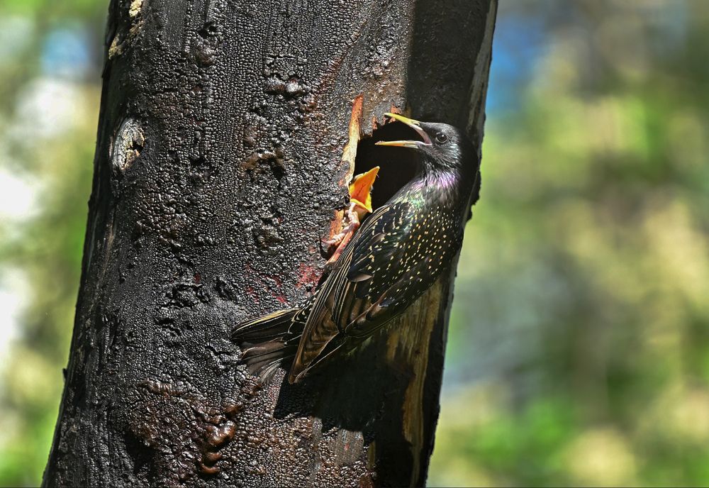 Photograph by Виктория Шажко