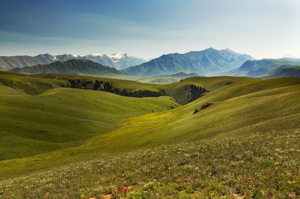 Photograph by Абашкин Сергей