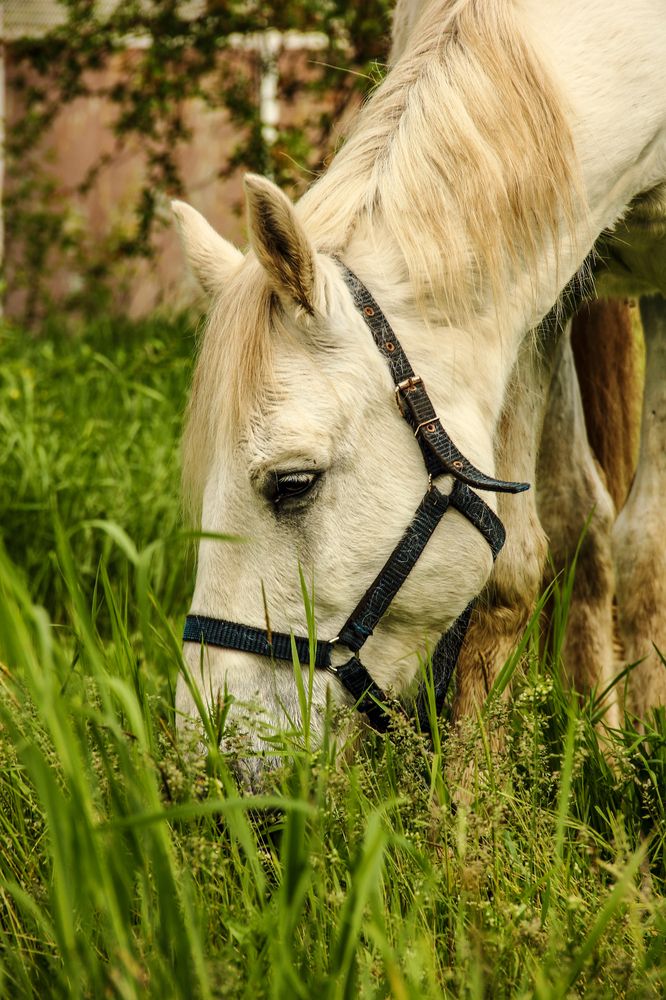Photograph by Алексей Шевцов