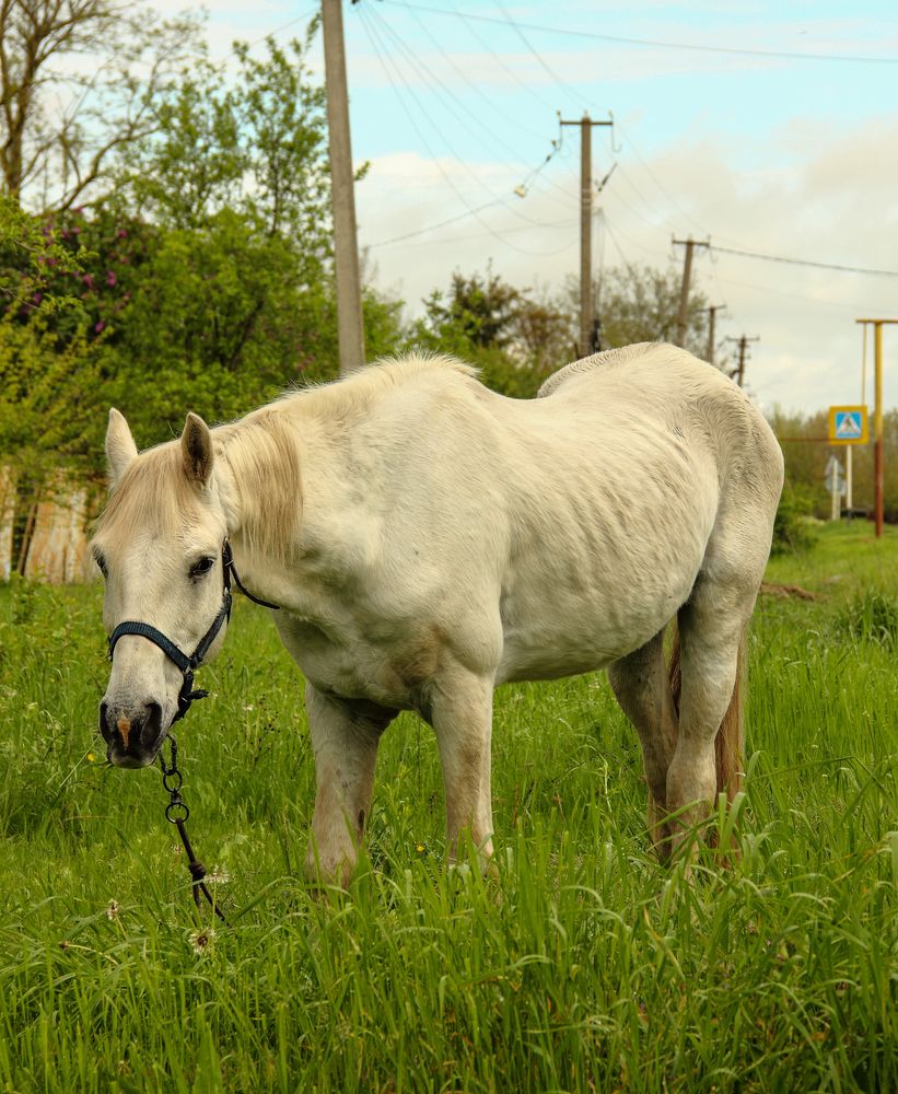 Photograph by Алексей Шевцов