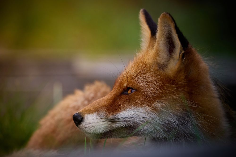 Photograph by Valentin Kolinko
