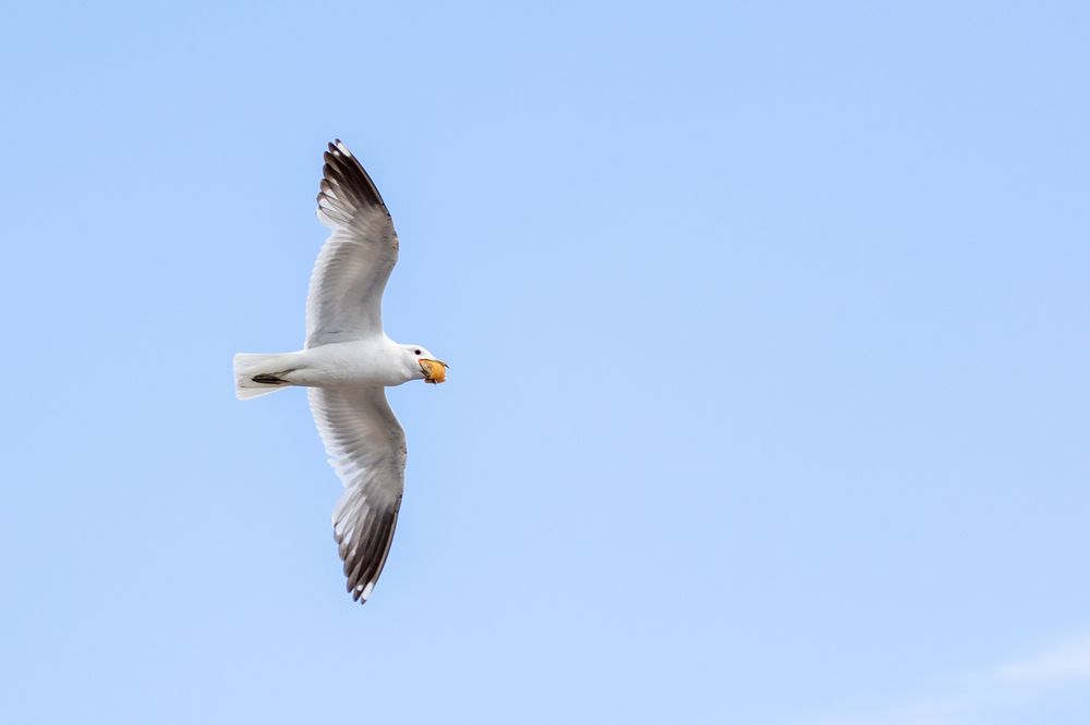 Photograph by Марина