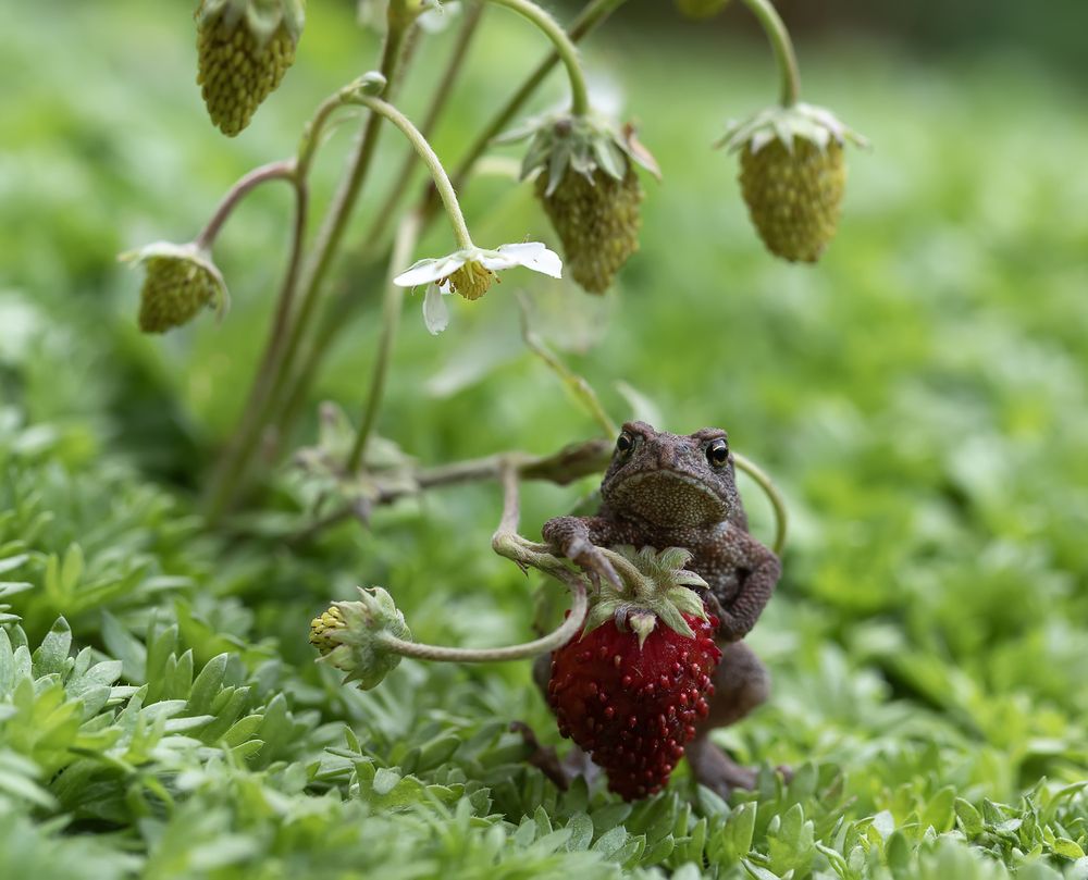 Photograph by Татьяна Феденкова