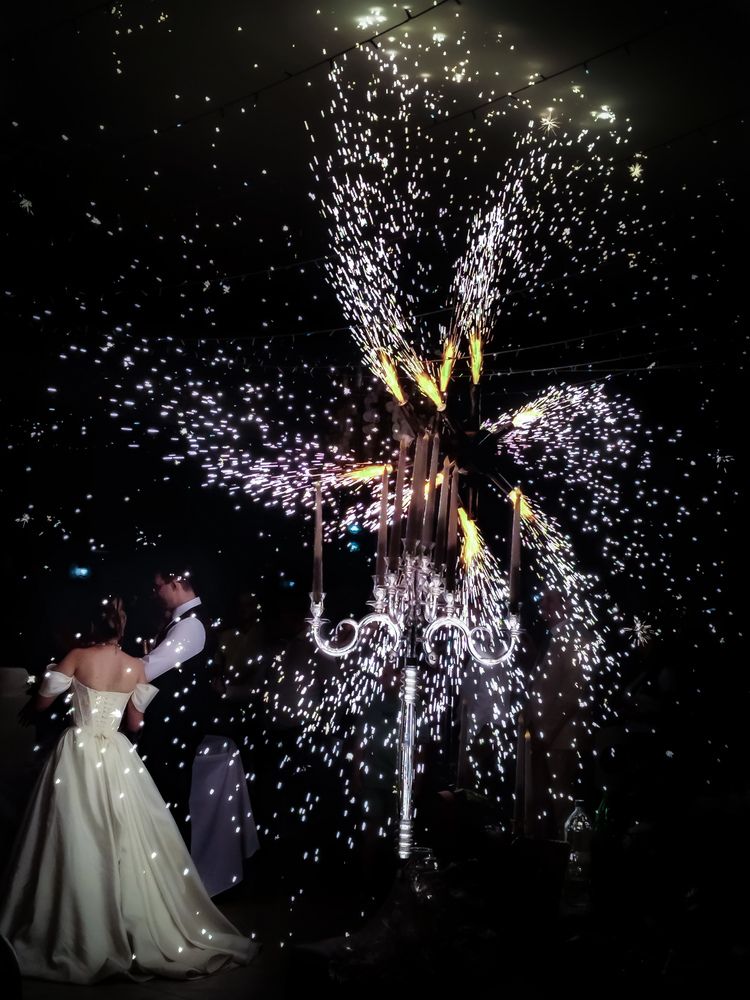 Фотография автора JELENA VASIC