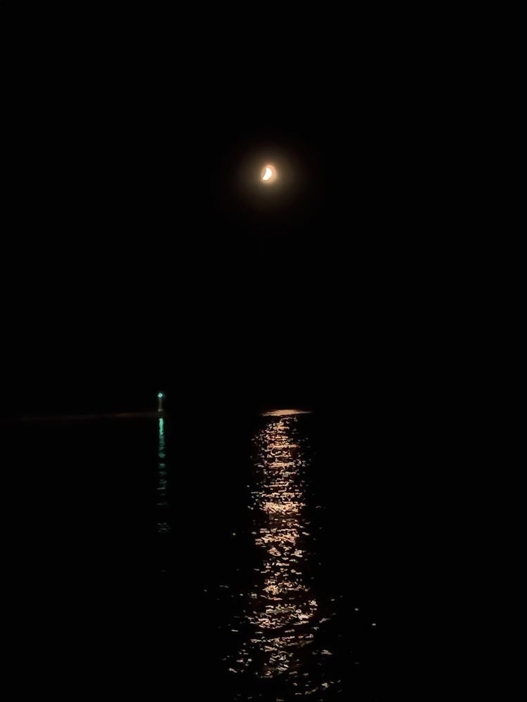 Фотография автора JELENA VASIC