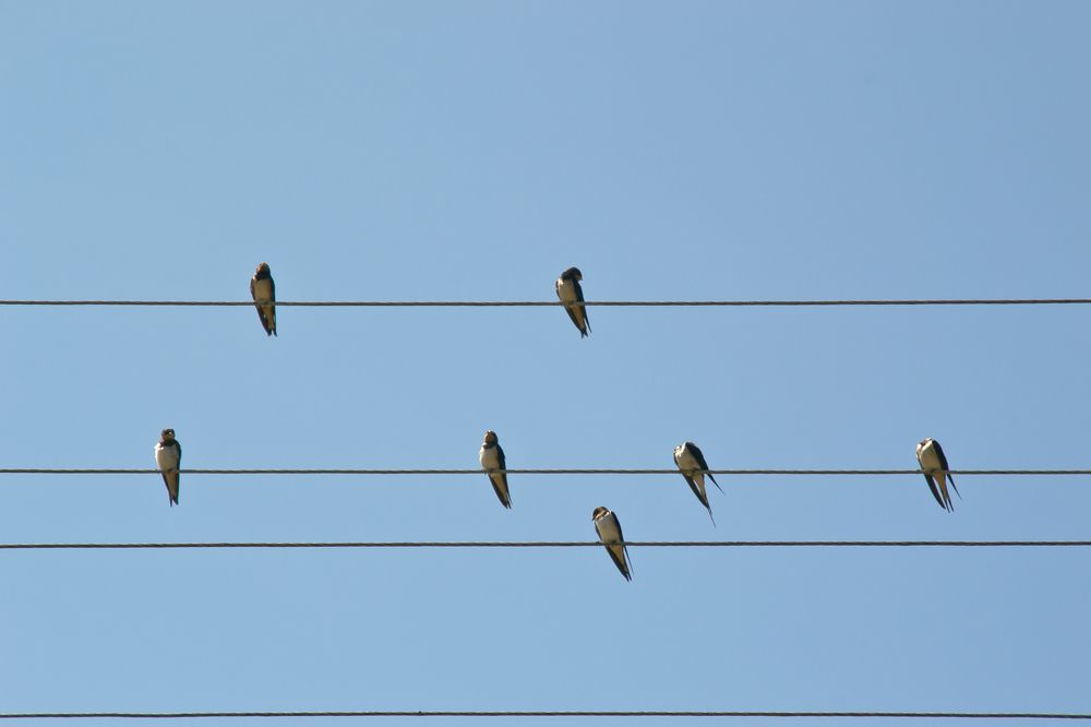 Фотография автора Юлия Кранина