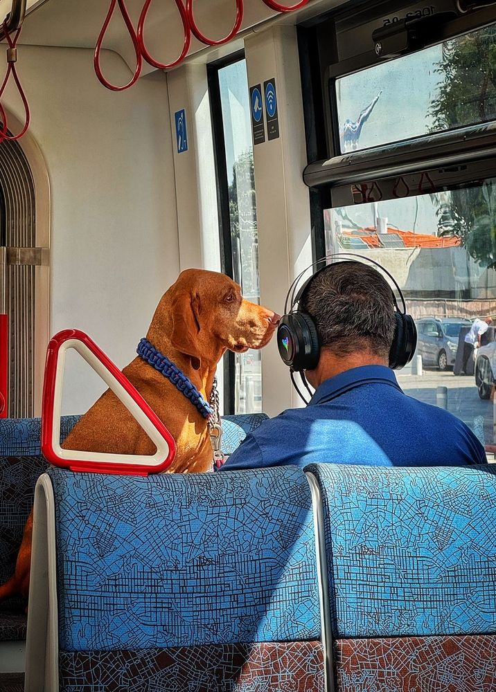 Photograph by Юлия Порфирьева