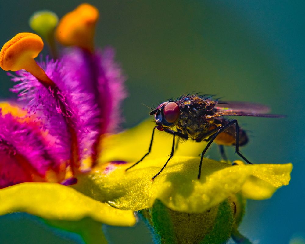 Photograph by Vitaly Zubkov