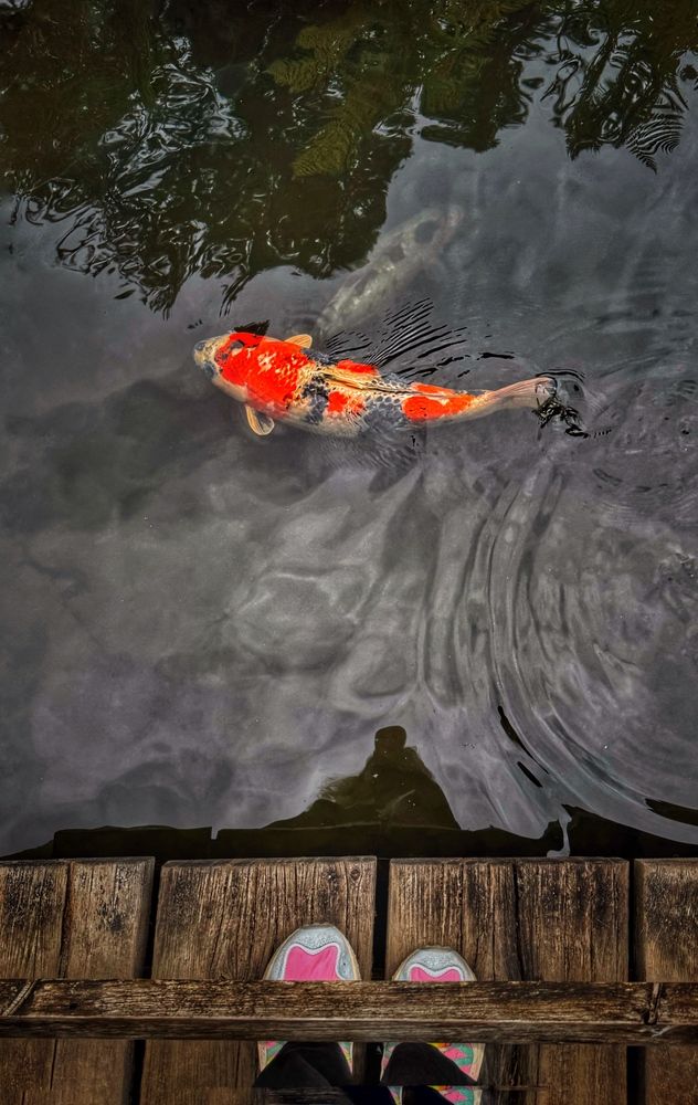 Photograph by Юлия Порфирьева