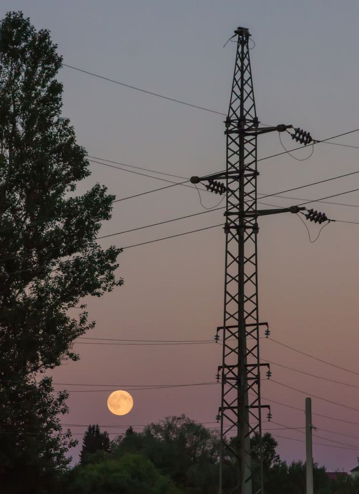 Photograph by Ольга Заповедная