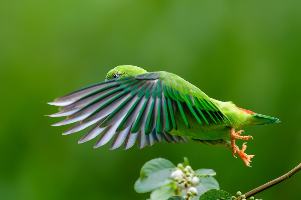 Photograph by Leo Ngo