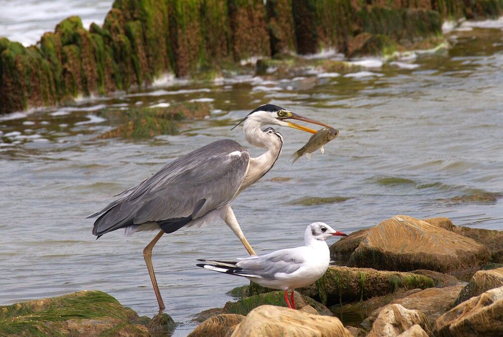Photograph by Алексей Сиваков