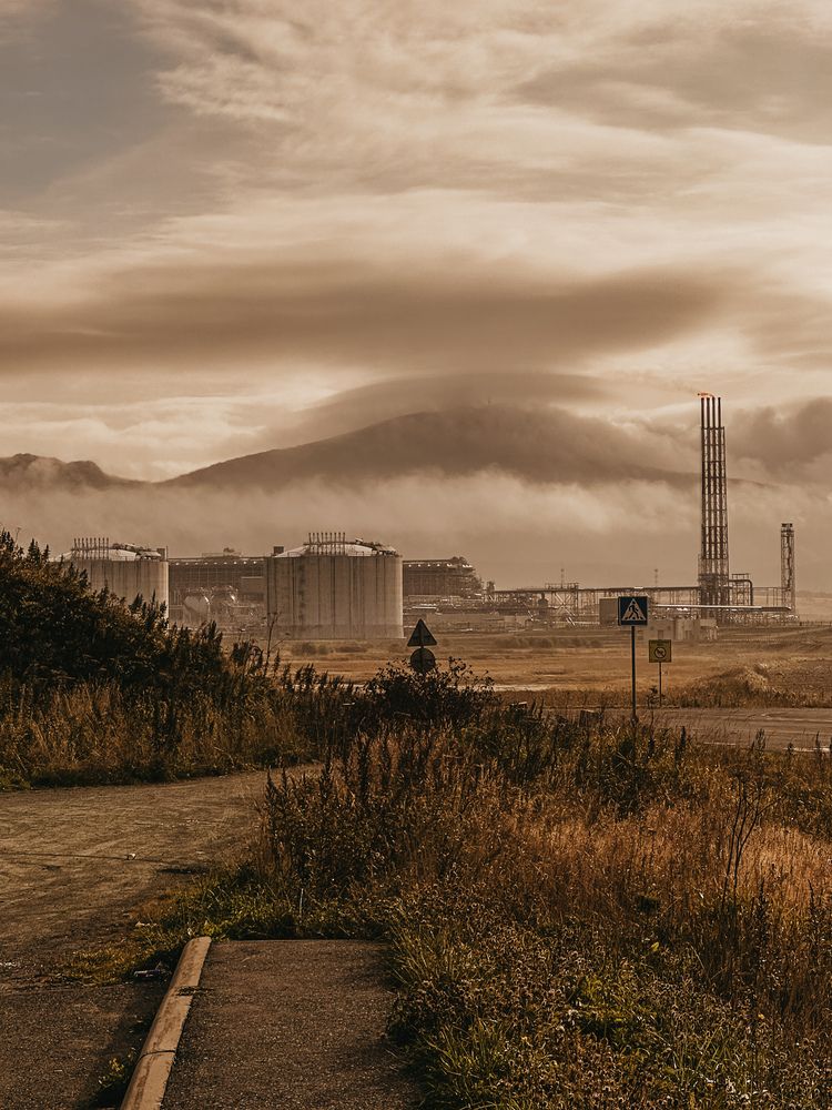 Фотография автора Анна Рыжикова