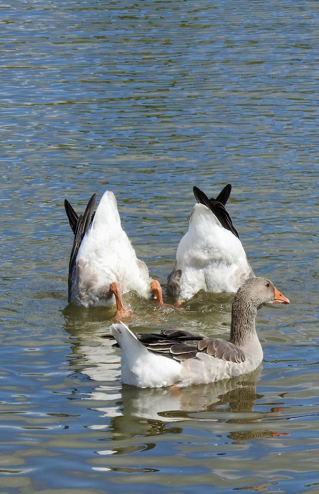 Photograph by Римма Большакова