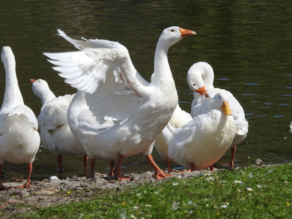 Photograph by Римма Большакова