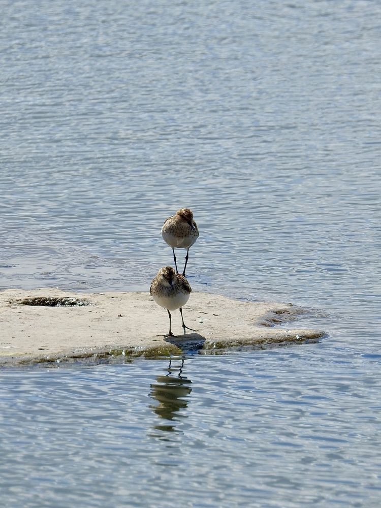 Photograph by Римма Большакова