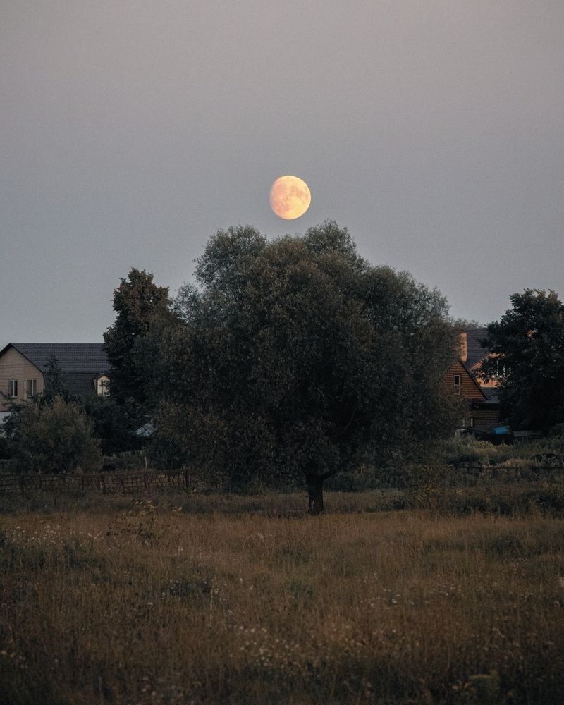 Photograph by Анна Любимова