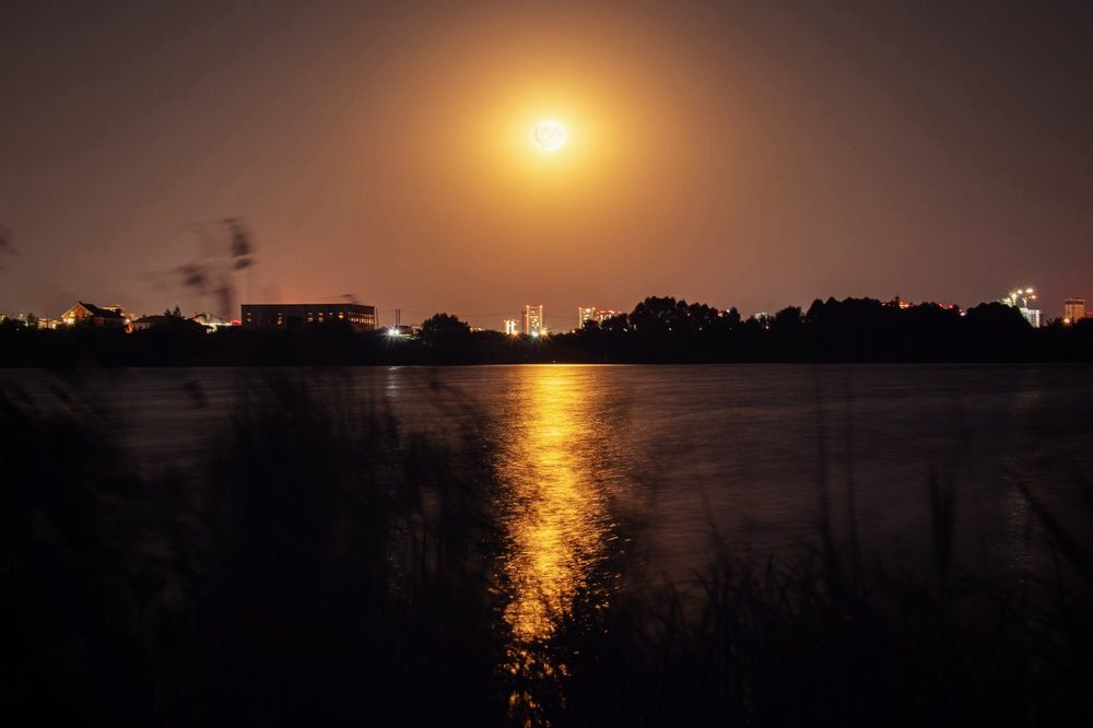 Photograph by Анна Любимова