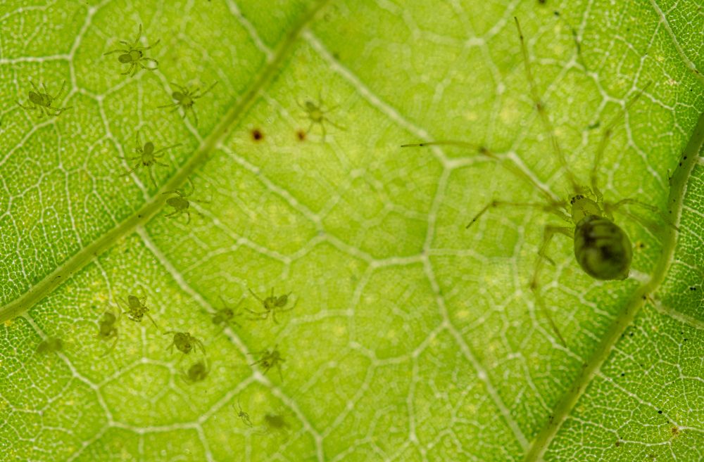 Photograph by Raul Ruiz