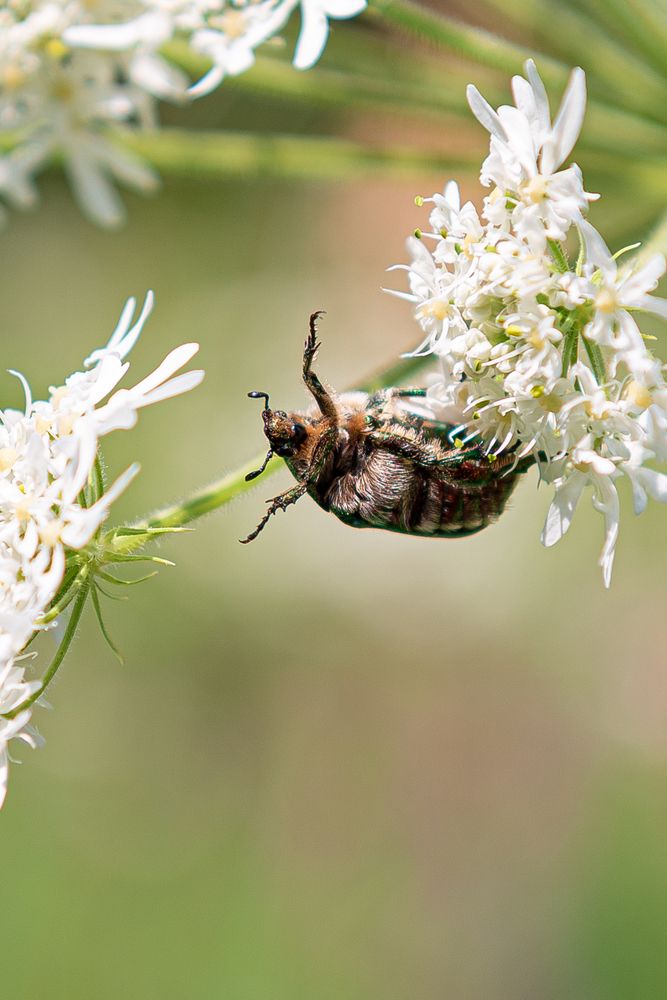 Photograph by Татьяна Ровенская