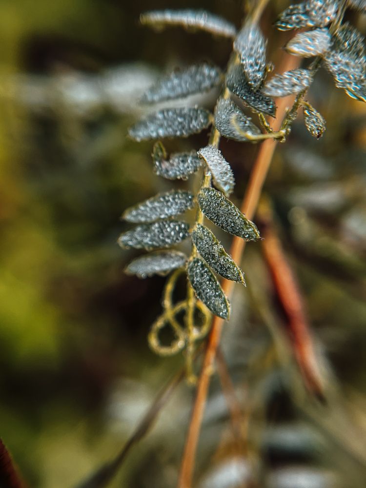 Photograph by Татьяна Михайловна