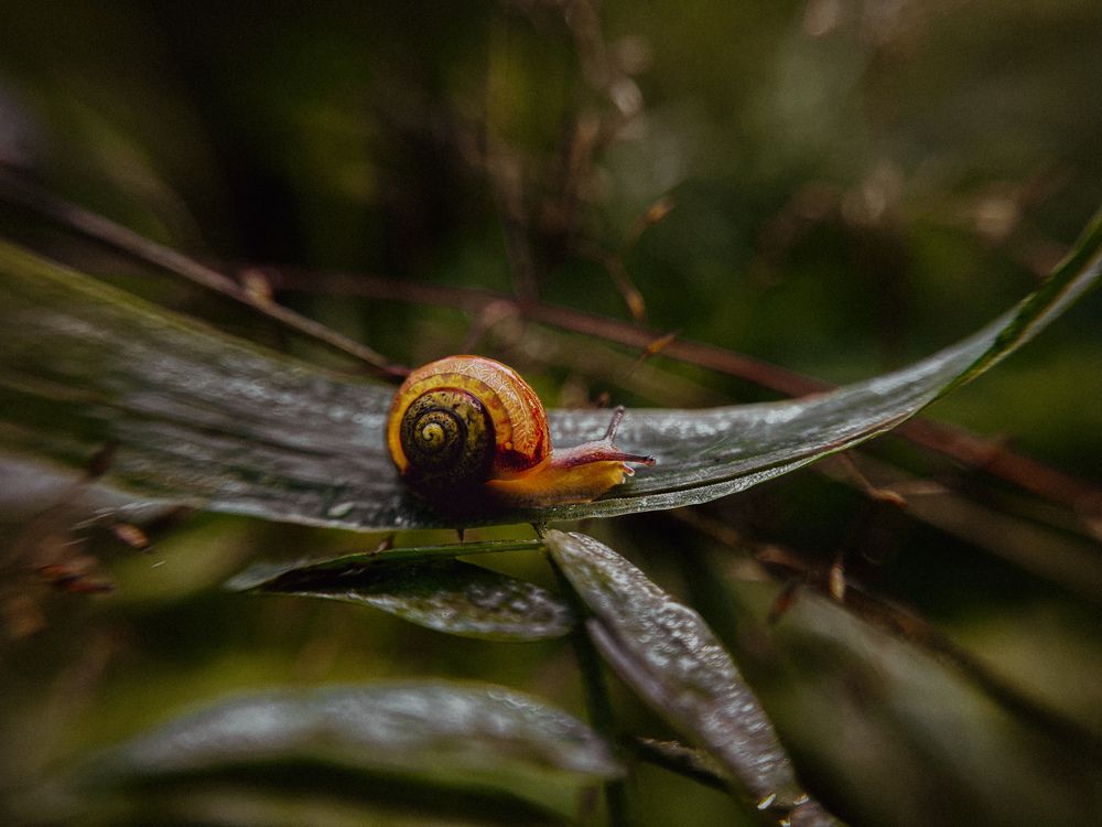 Photograph by Татьяна Михайловна