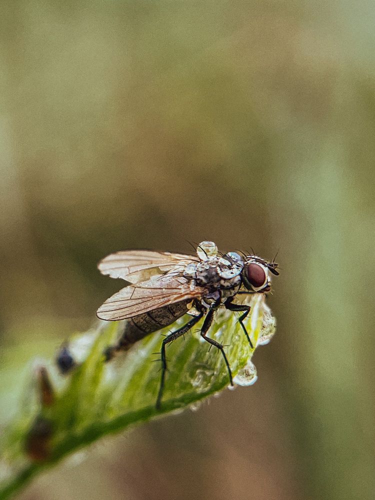 Photograph by Татьяна Михайловна