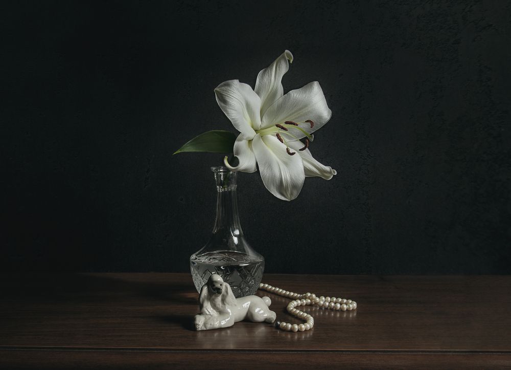 Натюрморт с лилией и жемчугом