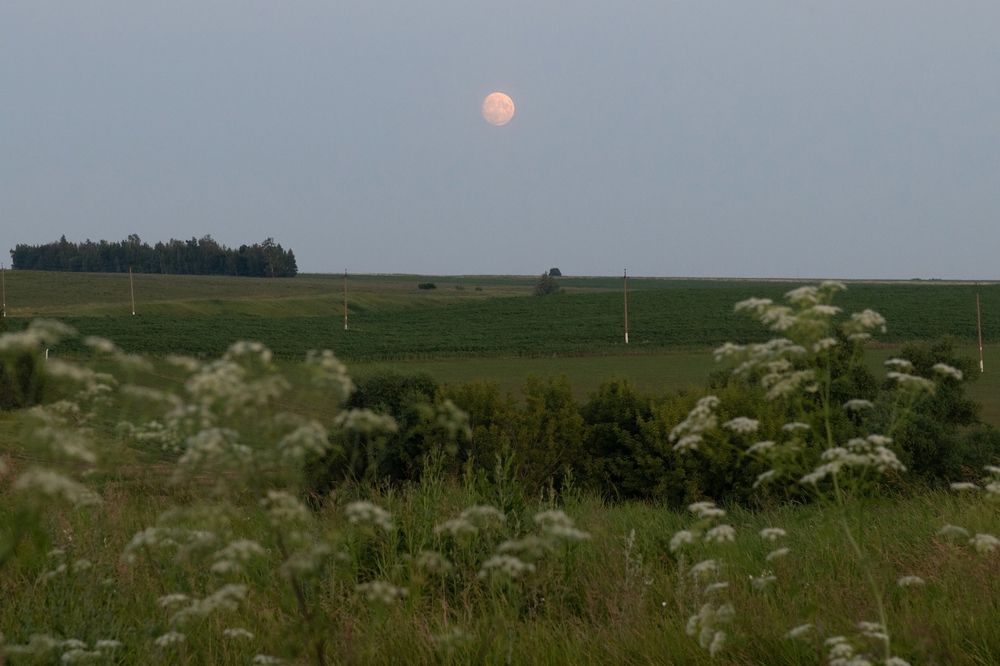 Photograph by Алексей