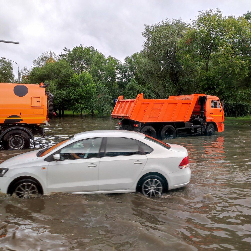 Photograph by Елена Казарина