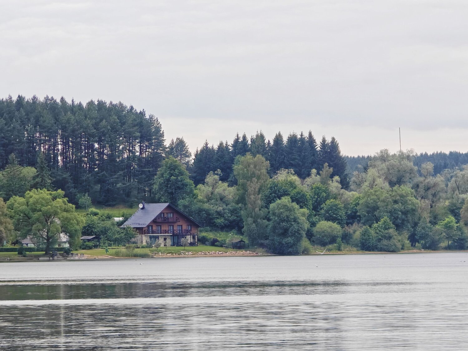 Photo #12461188