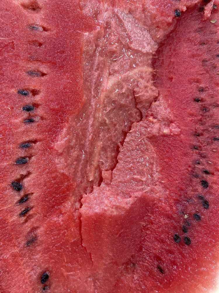 Photograph by Алиса Лукина