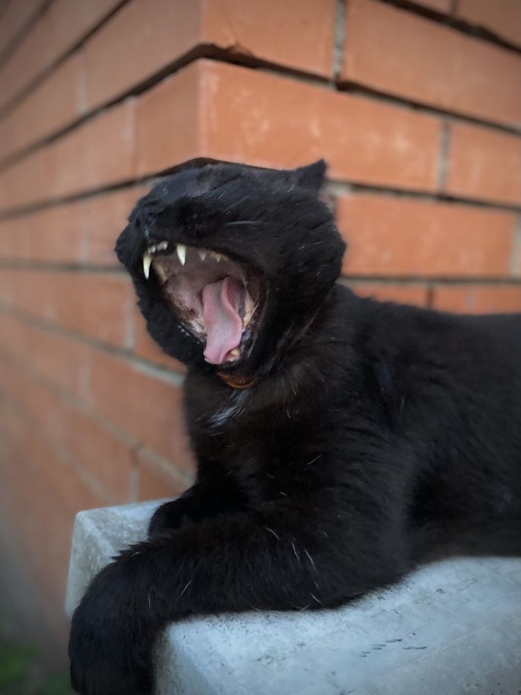 Photograph by Алиса Лукина