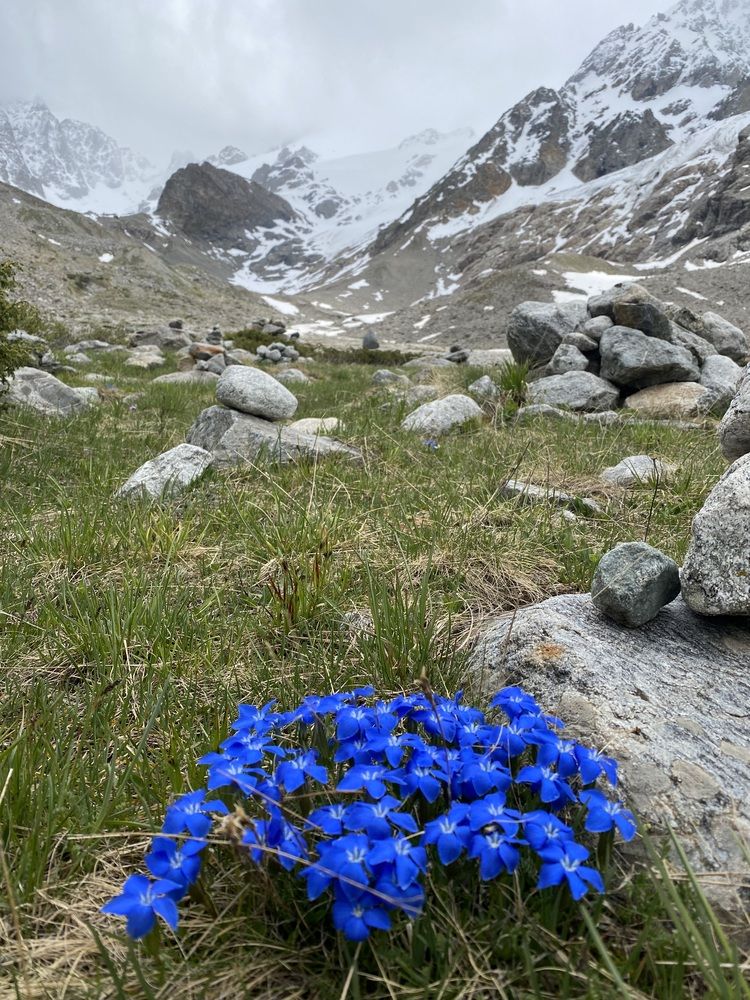 Photograph by Алиса Лукина
