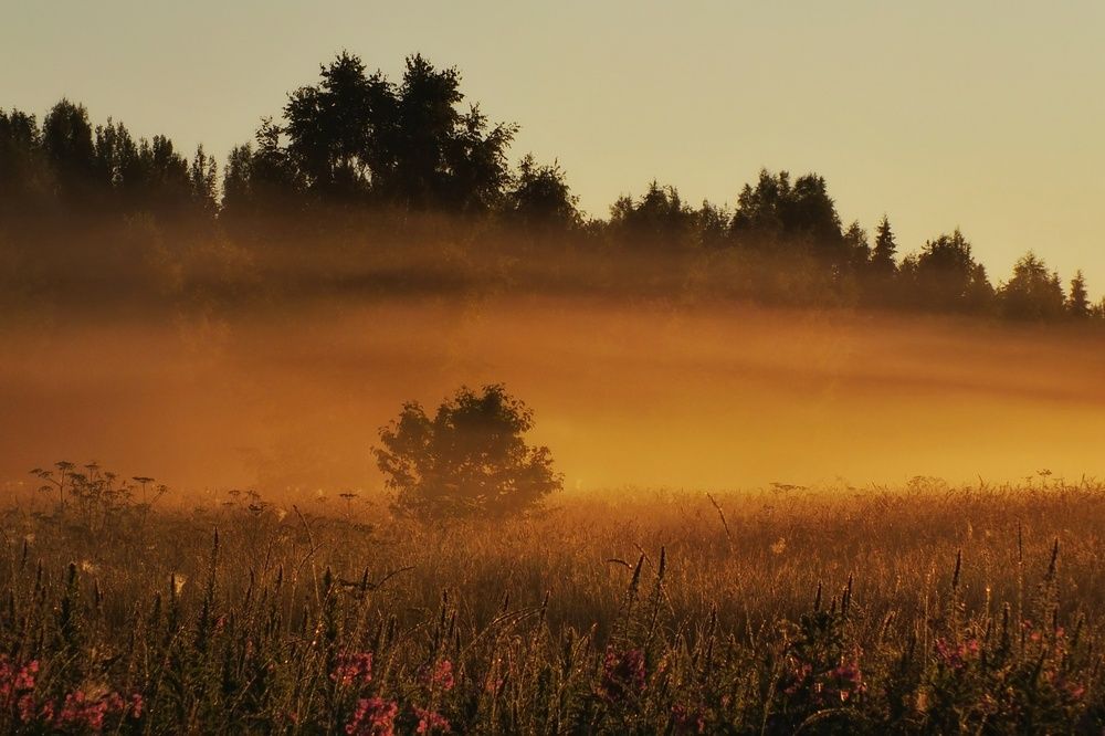 Фотография автора Андрей Шестаков