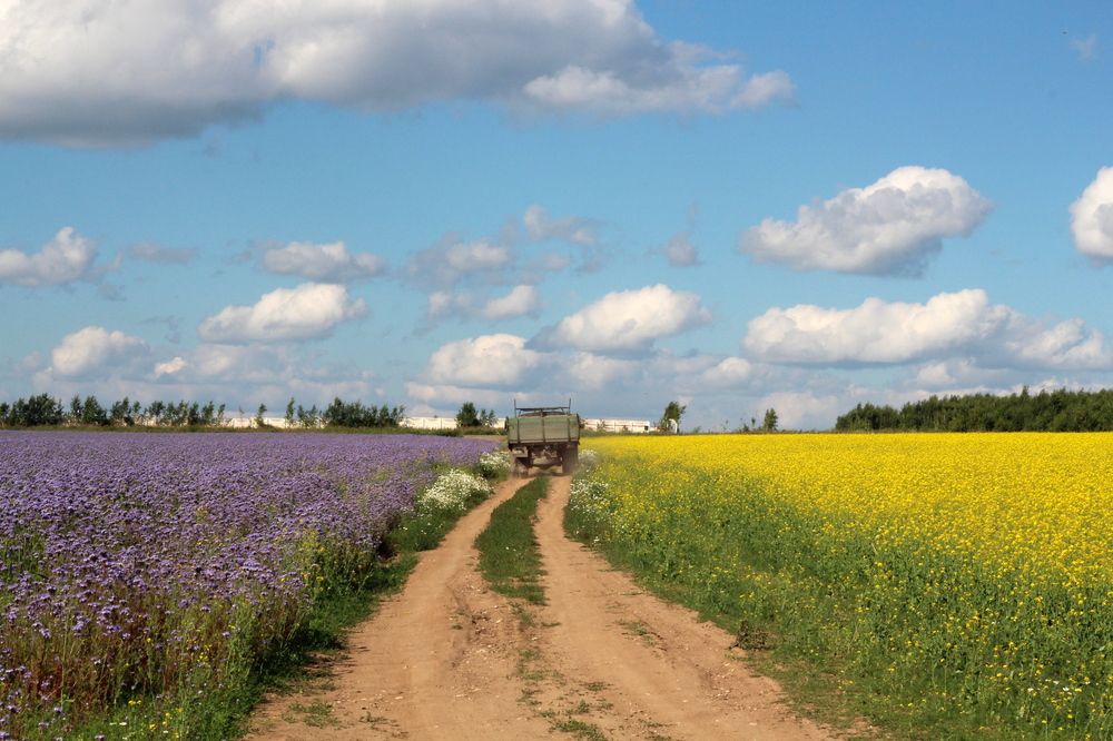 Photograph by Герасимов Игорь