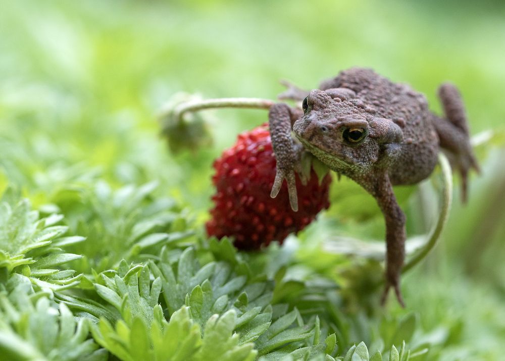 Photograph by Татьяна Феденкова