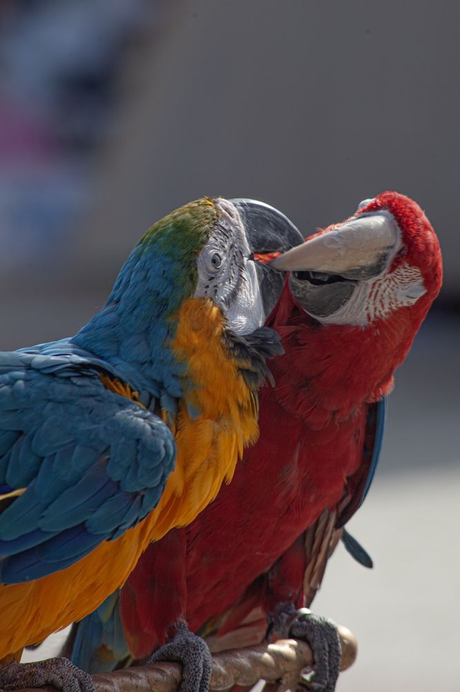 Photograph by Fedorov Denis