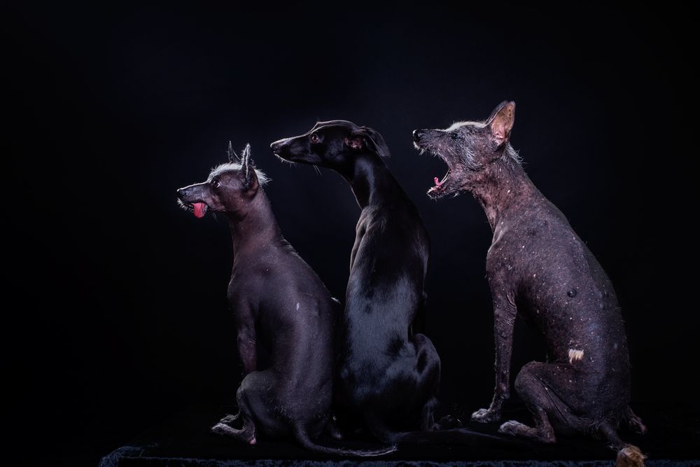 Photograph by наталья залогина