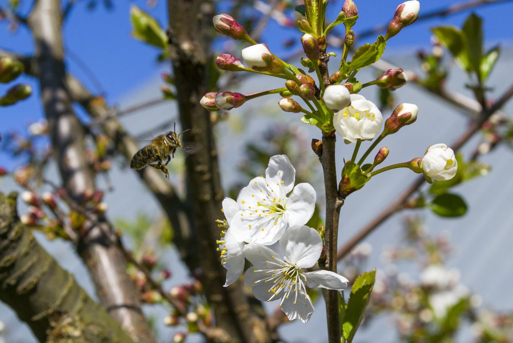 Photograph by Елизавета Большакова