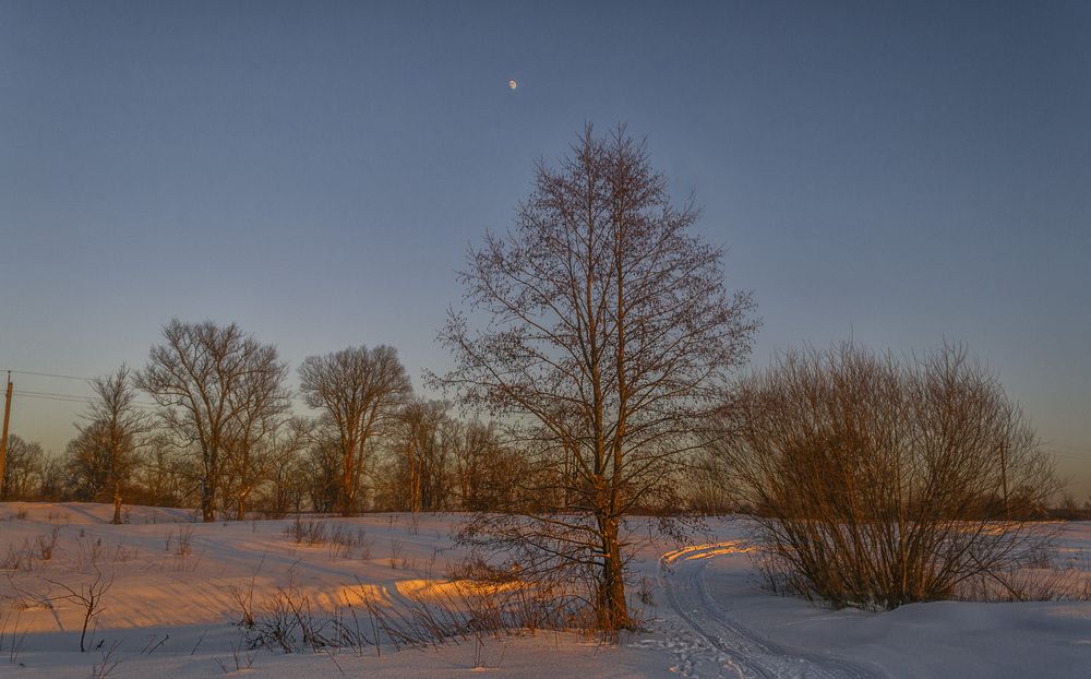 Photograph by Цветков Сергей