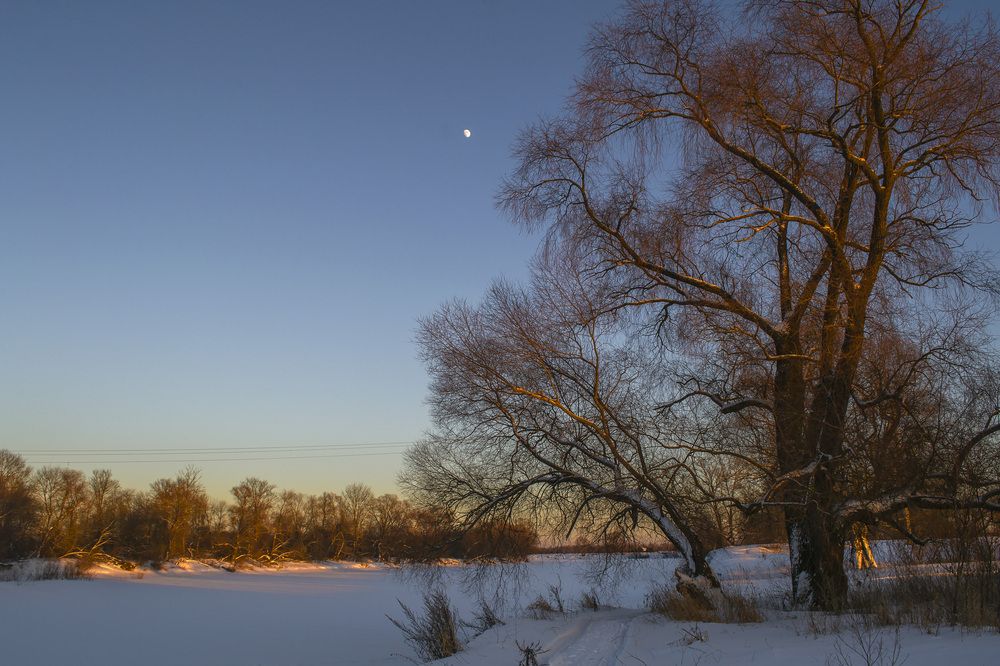 Photograph by Цветков Сергей