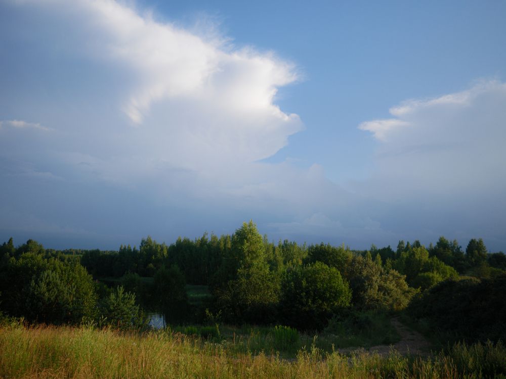 Photograph by Виктория Селетыцкая