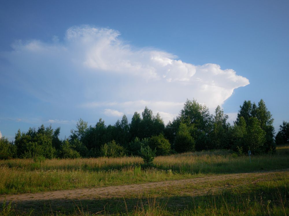 Photograph by Виктория Селетыцкая