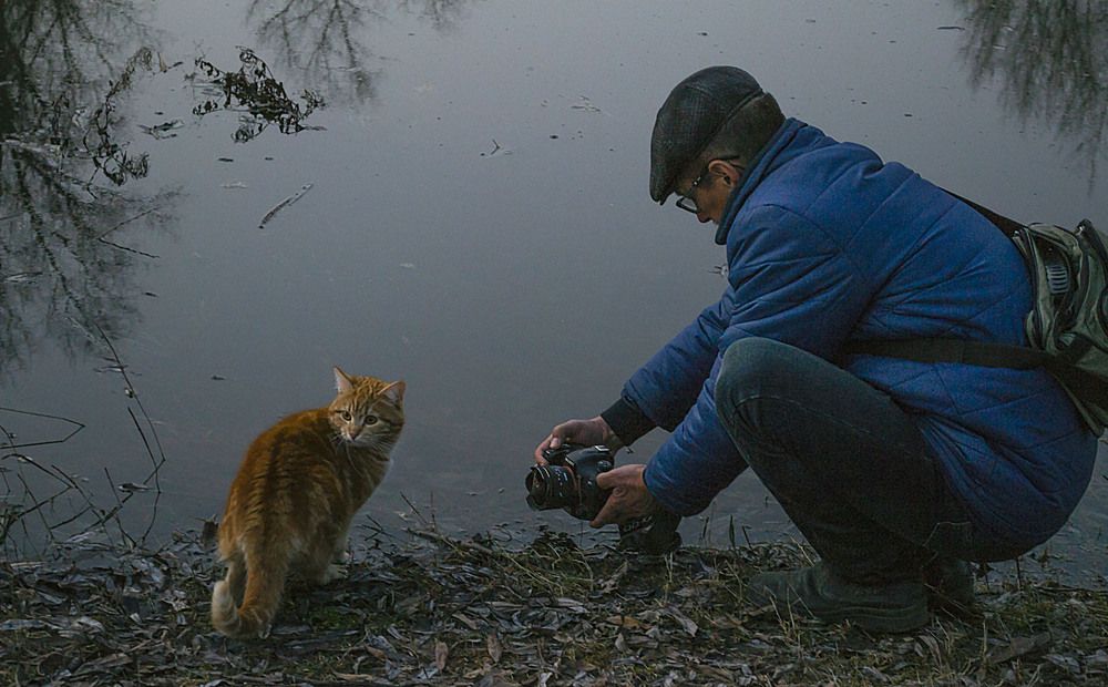 Photograph by Цветков Сергей