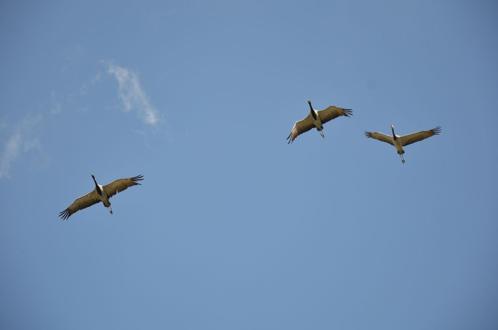 Photograph by Елена Савчук