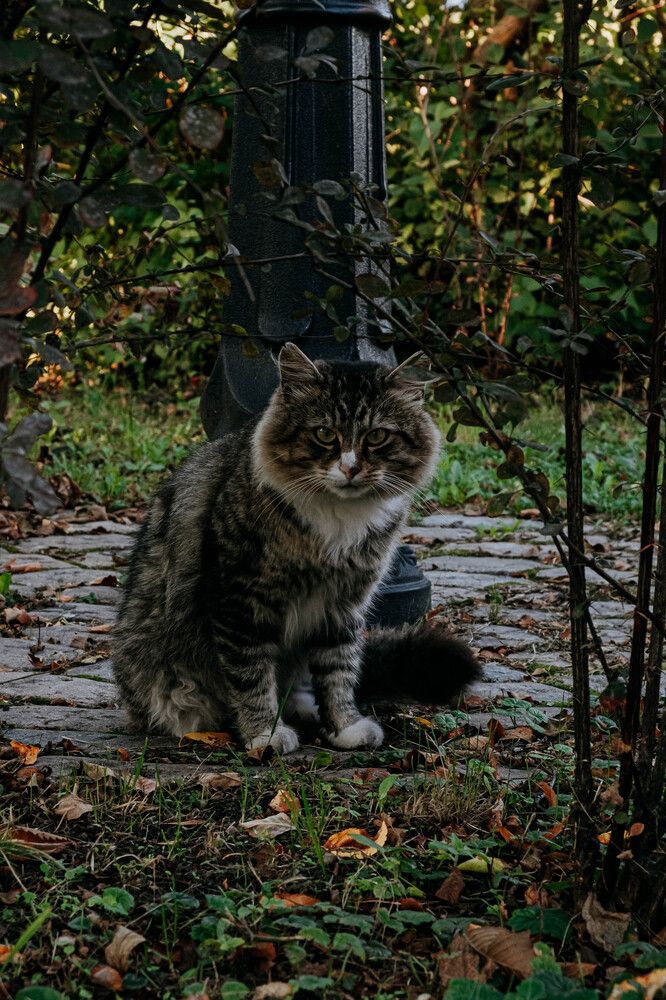 Photograph by Tatiana Potapenko