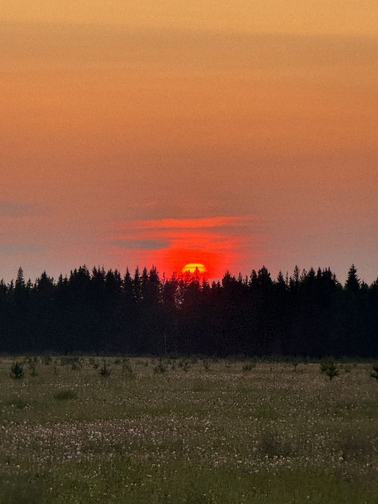 Photograph by Regina Gritsenko