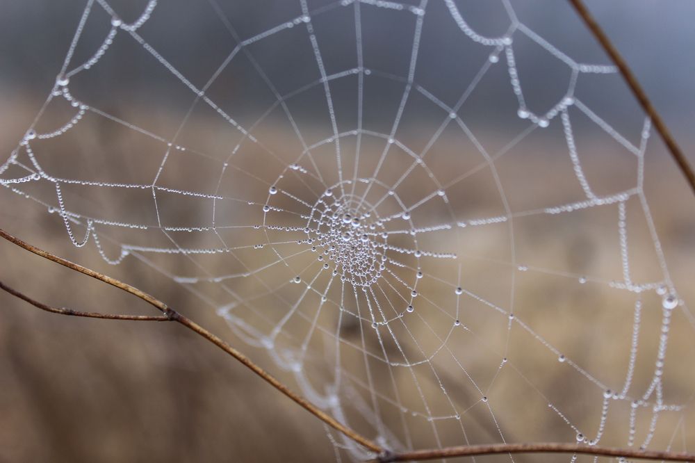 Photograph by Ирина Дмитриенко