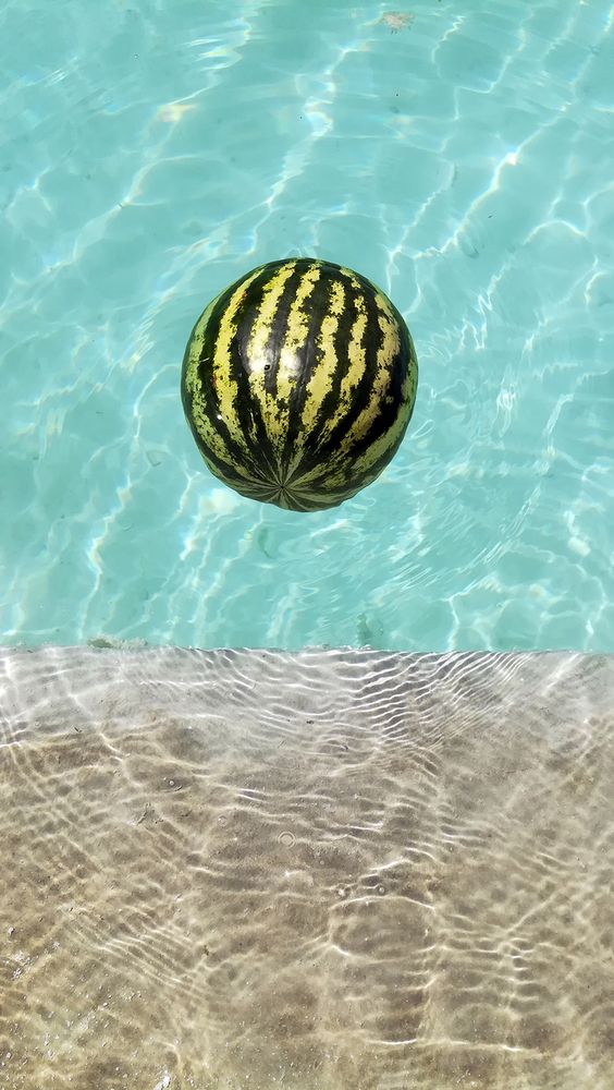 Photograph by Javad Tafti Farashah